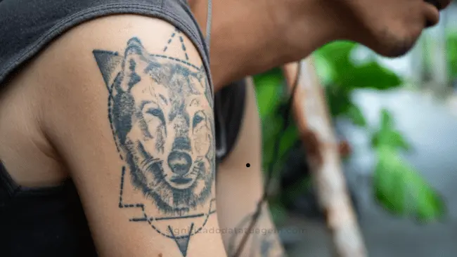 Significado da Tatuagem de Lobo