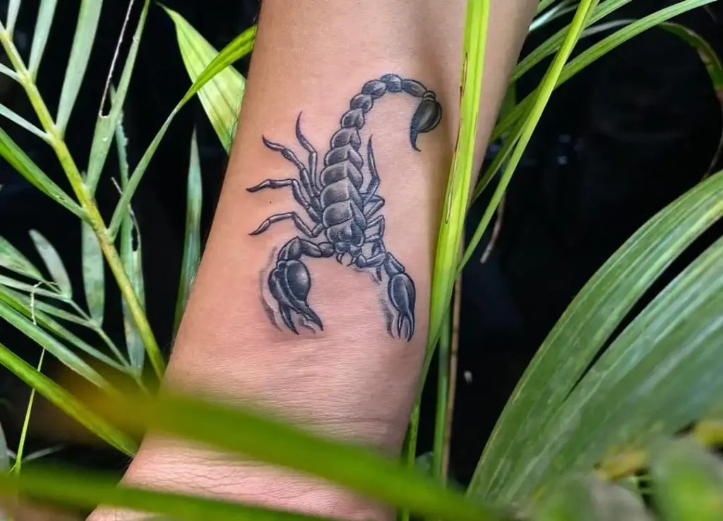 Simboliza uma Tatuagem de Escorpião